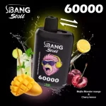 Bang Leader 60 000 Puffs – Einweg- Vape – Bild 14