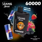 Bang Leader 60 000 Puffs – Einweg- Vape – Bild 10