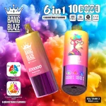 BANG BLAZE 100000 Puffs 14 Geschmacksrichtungen Niską Zawartość Nikotin – Originale Ładowalne Einweg- Vape – Bild 2