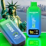 Bang King City 50000 Puffs – Leistung und Eleganz in Einem Gerät | VapoMistrz