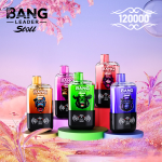 Bang Leader Stoll 120K Einweg- Vape – Zwei Geschmacksrichtungen