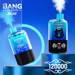 Bang Leader Stoll 120K Einweg- Vape – Zwei Geschmacksrichtungen – Bild 3