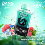 Bang Leader Stoll 120K Einweg- Vape – Zwei Geschmacksrichtungen – Bild 11