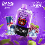 Bang Leader Stoll 120K Einweg- Vape – Zwei Geschmacksrichtungen – Bild 10
