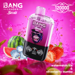 Bang Leader Stoll 120K Einweg- Vape – Zwei Geschmacksrichtungen – Bild 4
