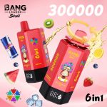 Bang Leader 300K Puffs Disposable Vape 6 in 1 – Bild 13