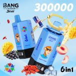 Bang Leader 300K Puffs Disposable Vape 6 in 1 – Bild 5