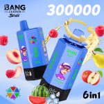 Bang Leader 300K Puffs Disposable Vape 6 in 1 – Bild 12