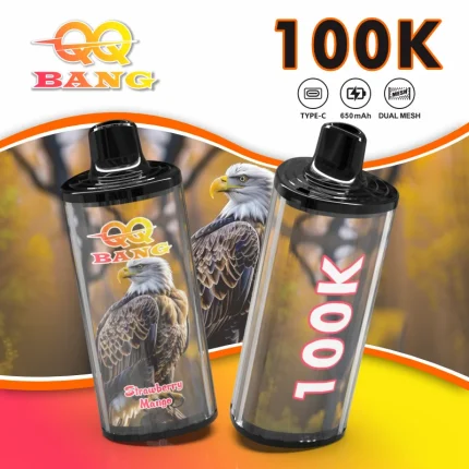 QQ Bang 100K Puffs – einweg- vape Dual Mesh mit USB-C