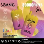 Bang Leader 80000 Züge – Großhandels- E-Zigarette Einweg- mit Wydajnością und Smakami auf Lange Stunden! – Bild 11